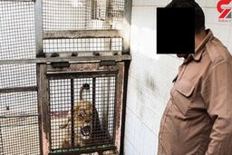 لو رفتن شیر ماده مرد اصفهانی در حسادت زنانه همسرش ! + فیلم باغ وحش خصوصی در خمینی شهر !