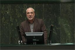 تذکر عضو پایداری در مجلس : گرانی گوشت تقصیر عربستان است