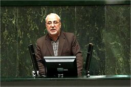 تذکر عضو پایداری در مجلس : گرانی گوشت تقصیر عربستان است