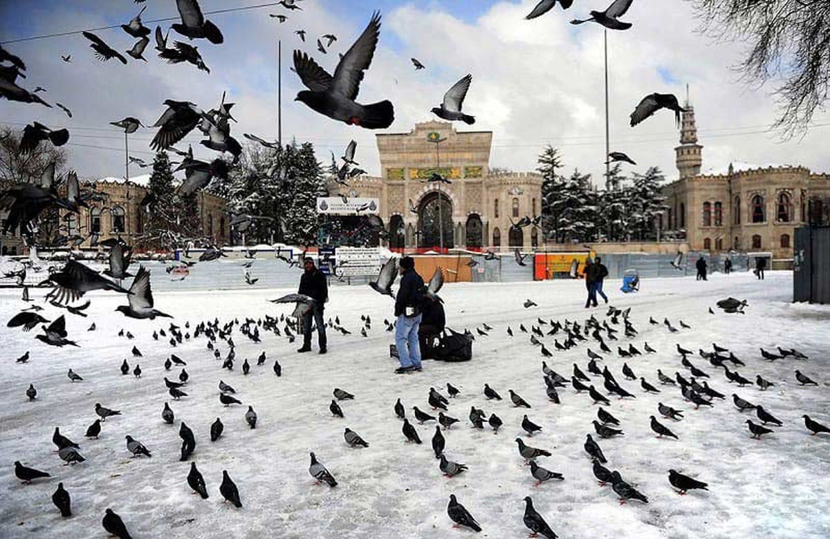 قبل از خرید تور استانبول بخوانید