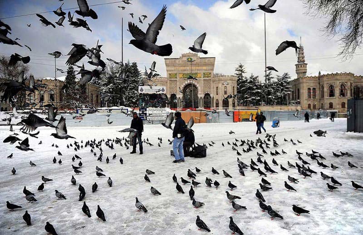 قبل از خرید تور استانبول بخوانید