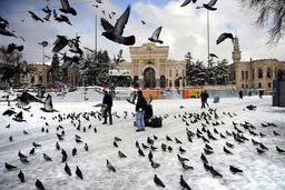 قبل از خرید تور استانبول بخوانید