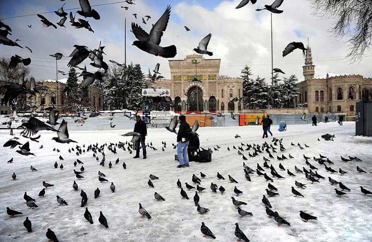 قبل از خرید تور استانبول بخوانید