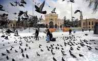 قبل از خرید تور استانبول بخوانید