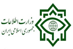 عملیات بزرگ سربازان گمنام امام زمان (عج) در تهران؛ کشف محموله بهداشتی