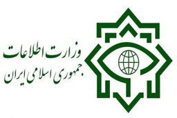 عملیات بزرگ سربازان گمنام امام زمان (عج) در تهران؛ کشف محموله بهداشتی