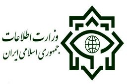 عملیات بزرگ سربازان گمنام امام زمان (عج) در تهران؛ کشف محموله بهداشتی