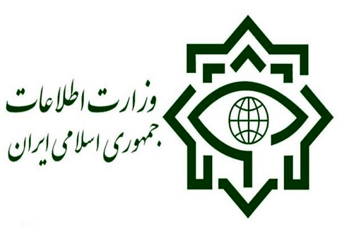 عملیات بزرگ سربازان گمنام امام زمان (عج) در تهران؛ کشف محموله بهداشتی