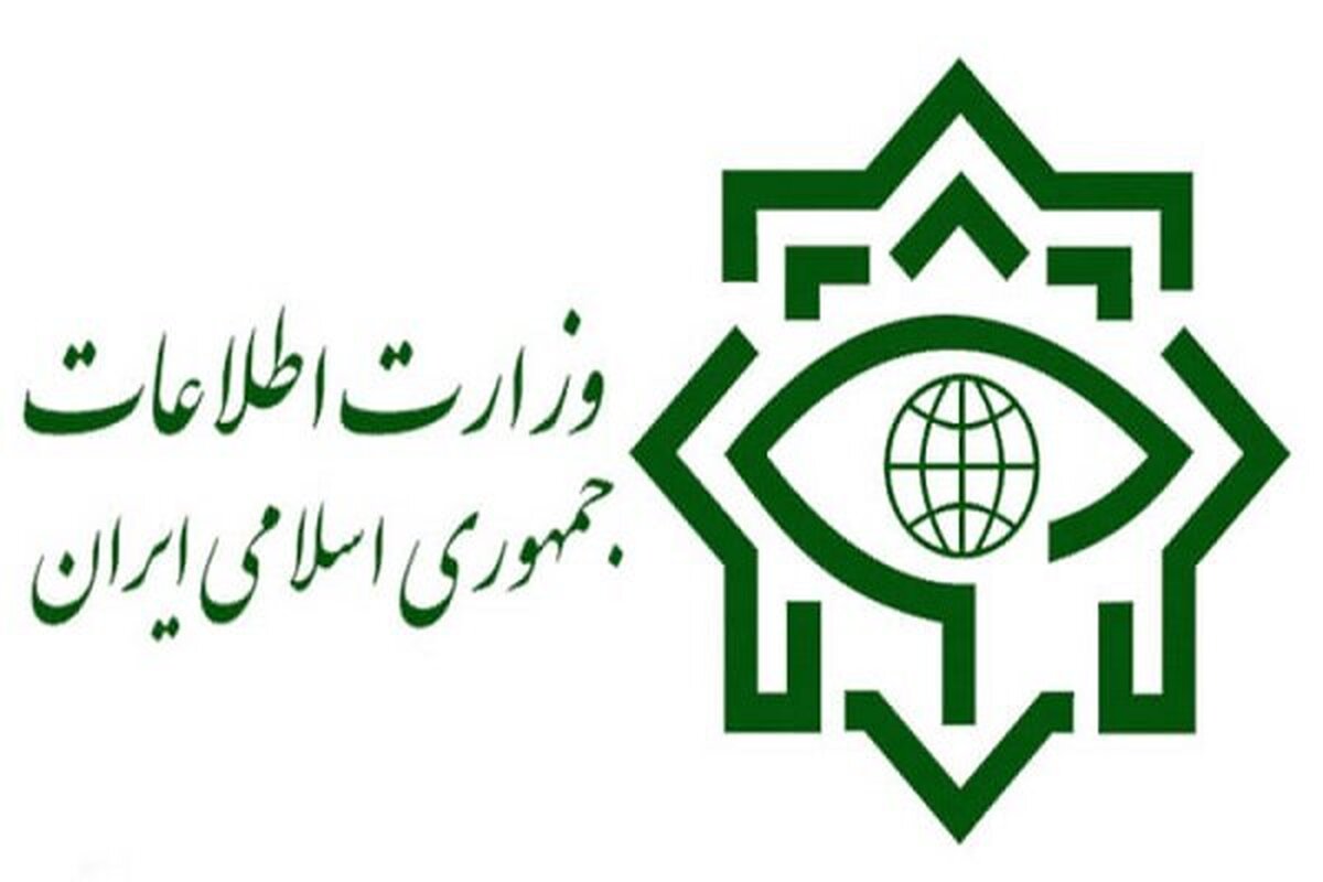 عملیات بزرگ سربازان گمنام امام زمان (عج) در تهران؛ کشف محموله بهداشتی
