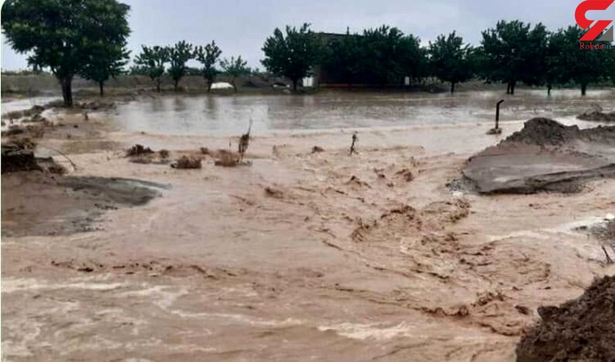 فیلم بارش شدید باران و جاری شدن سیل در حاجی آباد هرمزگان