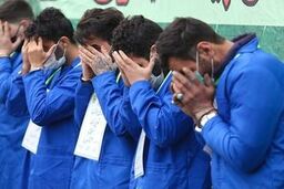 بازداشت ۲۸۲ شرور و انهدام باند چهار نفره «فیشینگ» در پایتخت
