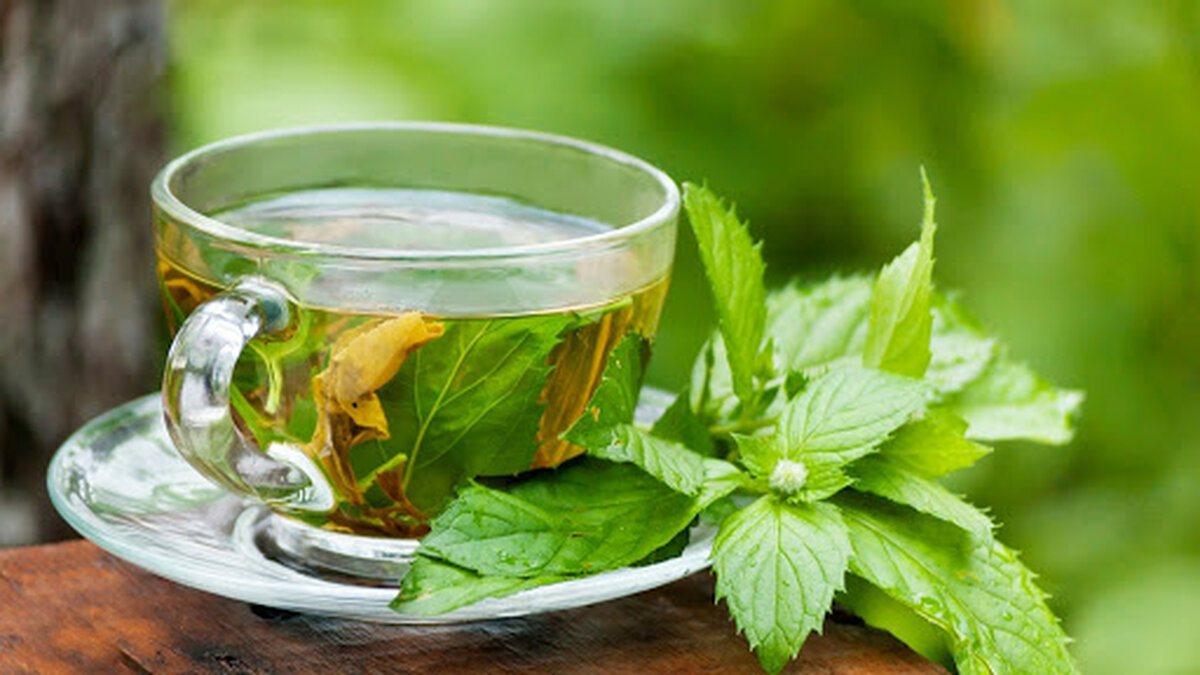 دمنوش‌های ضد کرونا؛ چی بخوریم کرونا نگیریم؟