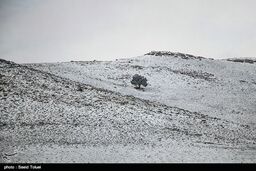 اصفهان| کاهش بی‌سابقه دما در 50 سال گذشته و بارش برف در اردستان