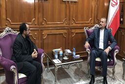 دیدار مذاکره‌کننده ارشد دولت یمن با امیرعبداللهیان در مسقط