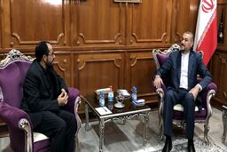 دیدار مذاکره‌کننده ارشد دولت یمن با امیرعبداللهیان در مسقط