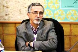 اظهارات کدخدایی درباره نظارت حداقلی شورای نگهبان، فرار رو به جلوست