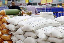 آخرین قیمت برنج پاکستانی ۲۶ آبان ۱۴۰۴ | کیسه 10 کیلویی برنج پاکستانی چند ؟