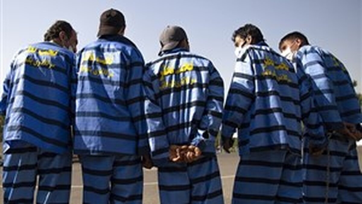 دختر شجاع، سارقان حرفه ای را نقره داغ کرد| گفتگو با سارق رابین هودی