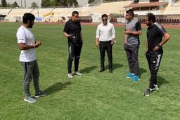 چمن مرمت شده حافظیه زیر ذره‌بین فجری‌ها(عکس)