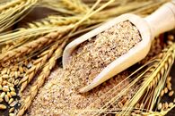 همه چیز درباره سبوس چند غله بین استار