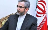 جزئیات رایزنی علی باقری با وزیر خارجه ترکیه