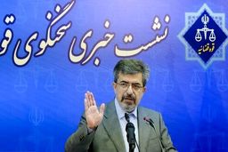 جزئیات نشست سخنگوی دستگاه قضا؛ ارسال پرونده جاسوسان به دادگاه، مهدی یراحی در بازداشت