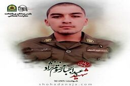 شهادت سرباز دهه هشتادی با ضربات چاقوی یک شرور