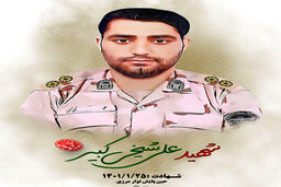 مامور مرزبانی در زابل به شهادت رسید