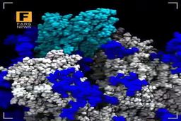 شبیه سازی با کیفیت از ویروس کووید ۱۹| فیلم