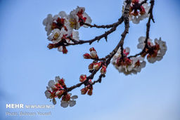 گزارش تصویری دیدنی از قلعه آشناخور