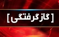 مرگ تلخ دختر و پسر خردسال در آغوش مادرشان / ماتم در سبزوار