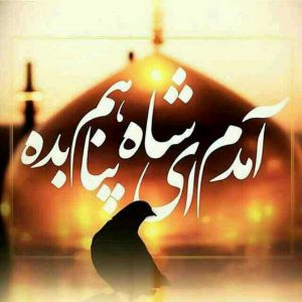 عکس پروفایل مذهبی؛ امام رضا(ع)