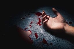جزئیات درگیری خونین دو زن در پارک نهج‌البلاغه