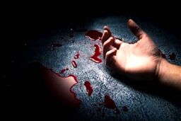 جزئیات درگیری خونین دو زن در پارک نهج‌البلاغه