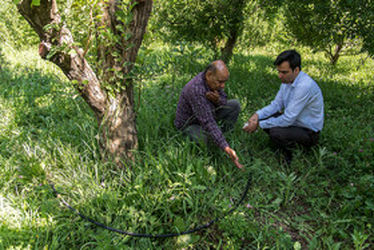 دریاچه ارومیه