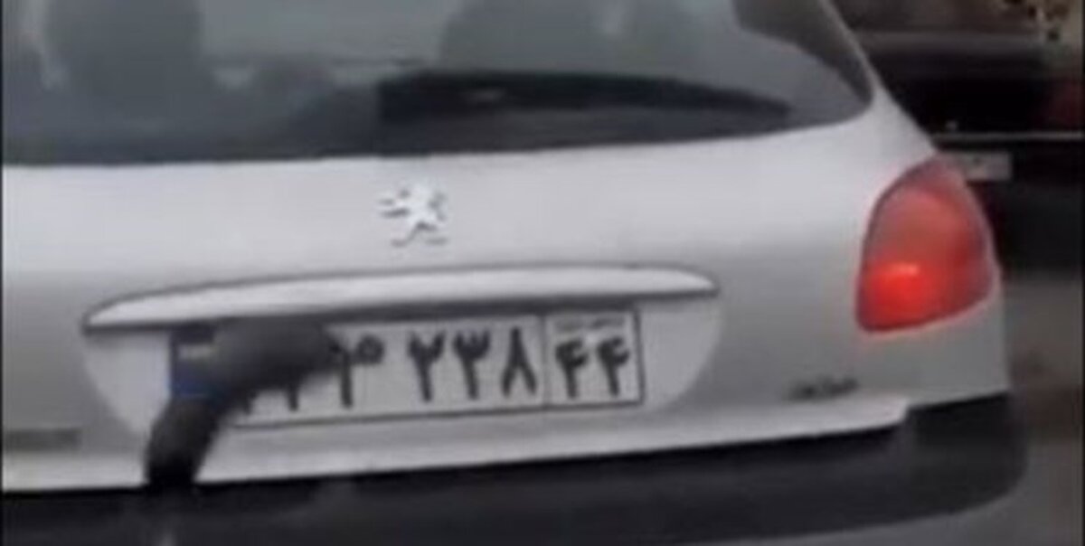 جزئیات پخش کلیپ بارش بادمجان/ پلیس امنیت: 5 نفر دستگیر شدند
