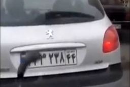 جزئیات پخش کلیپ بارش بادمجان/ پلیس امنیت: 5 نفر دستگیر شدند