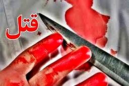 برادر کشی در قلهک/ دستگیری قاتل کمتر از یک ساعت
