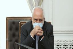 ظریف نیامد و دستان اصلاح‌طلبان خالی‌تر شد