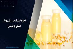 نحوه تشخیص ژل رویال اصل از تقلبی

