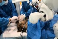 اولین عمل جراحی از راه دور در ایران بر بستر شبکه همراه اول انجام شد