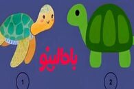 تست شخصیت شناسی/ یکی از لاک پشت ها را انتخاب کن تا بگم اهل حسادتی؟