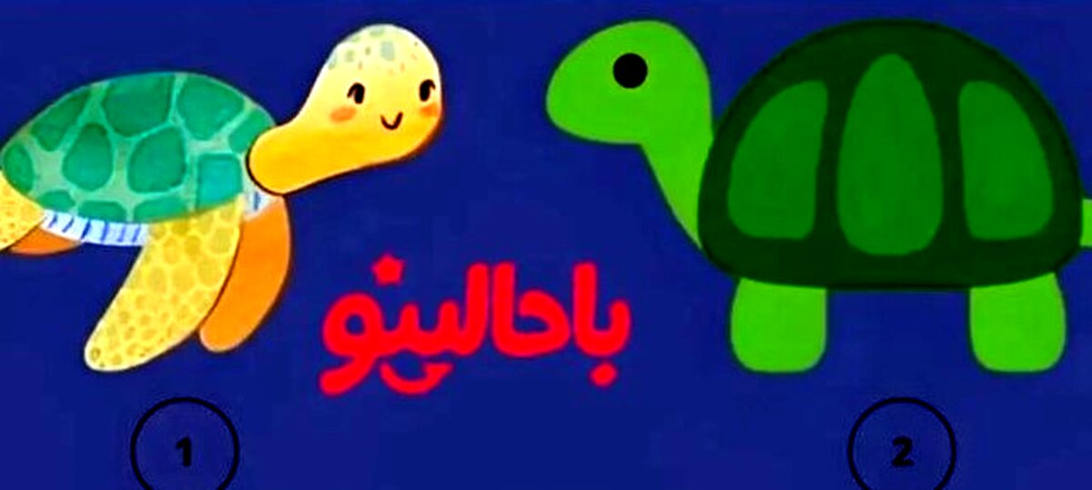 تست شخصیت شناسی/ یکی از لاک پشت ها را انتخاب کن تا بگم اهل حسادتی؟