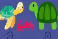 تست شخصیت شناسی/ یکی از لاک پشت ها را انتخاب کن تا بگم اهل حسادتی؟