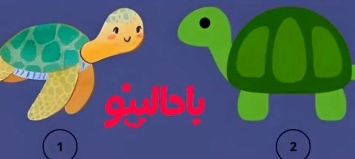 تست شخصیت شناسی/ یکی از لاک پشت ها را انتخاب کن تا بگم اهل حسادتی؟
