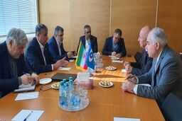 رایزنی رئیس سازمان انرژی اتمی با نمایندگان پاکستان در وین