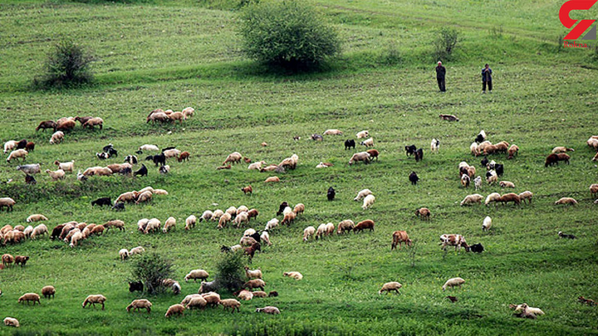 ناپدید شدن مرموز چوپان 50 ساله در گلستان