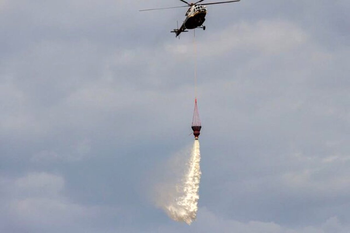 آمادگی وزارت دفاع برای کمک به اطفاء حریق هوایی جنگلها