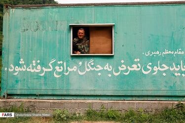 روز جنگلبان