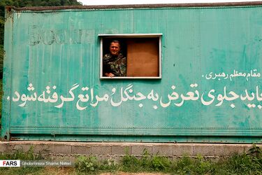روز جنگلبان